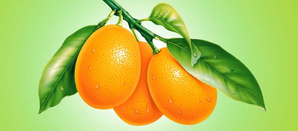 Frukton soğuk muhafaza